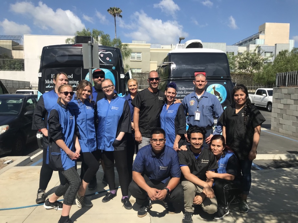The full Go Hollywood Grooming team in front of their mobile grooming vans