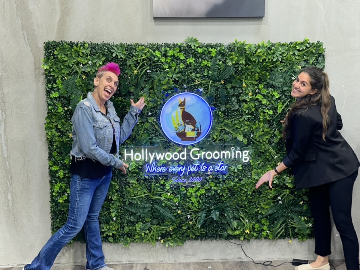 Inside the Go Hollywood Grooming Burbank store